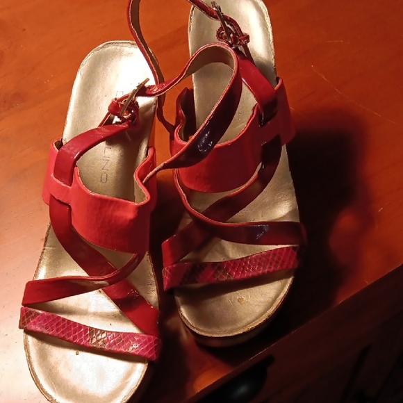 Super cute dress Shoes ,very comfy ,fun colors - Picture 1 of 4